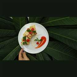 Indomie Schotel Mayo